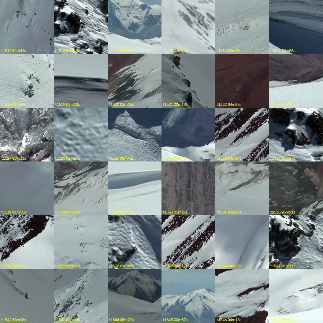 montage_42.jpg