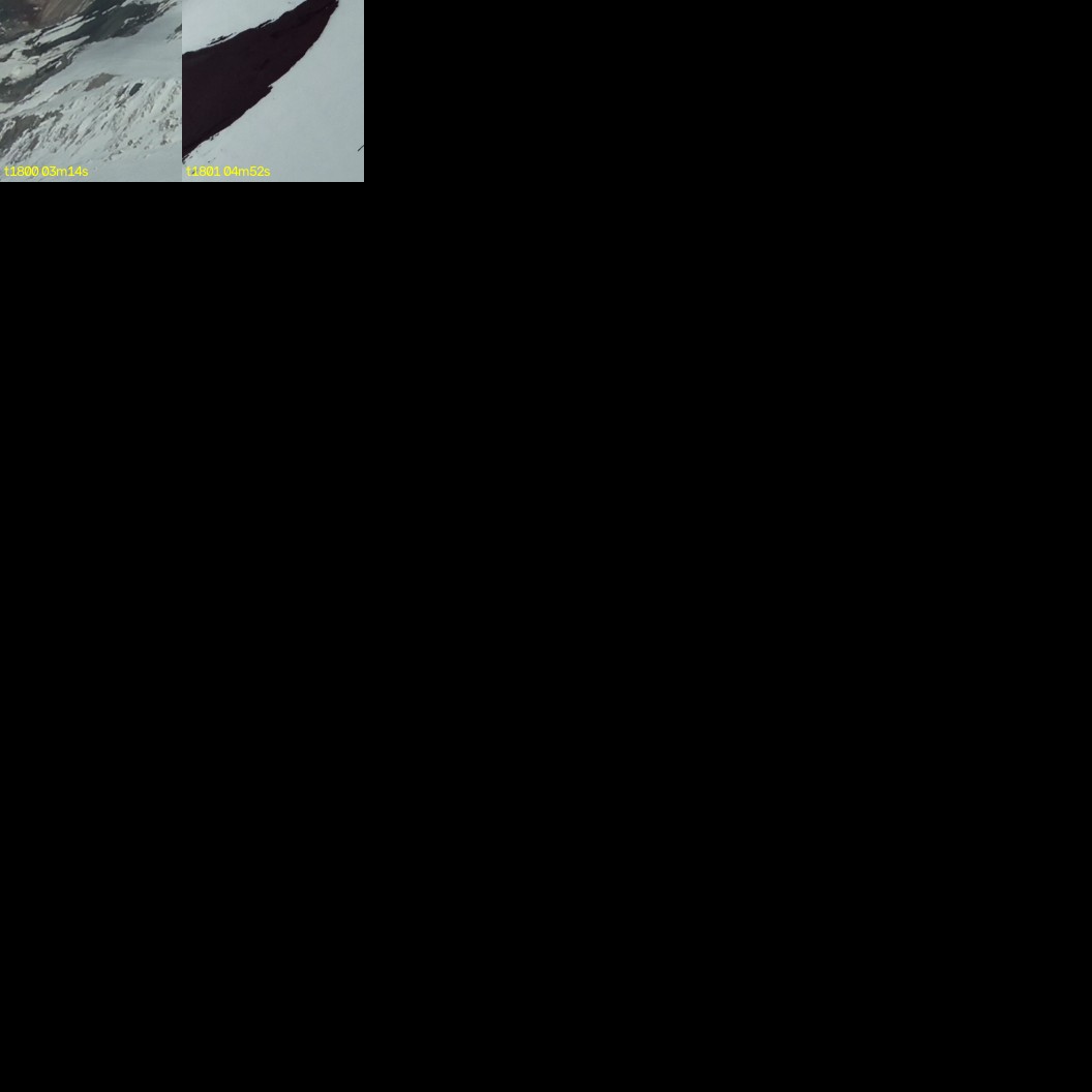 montage_50.jpg