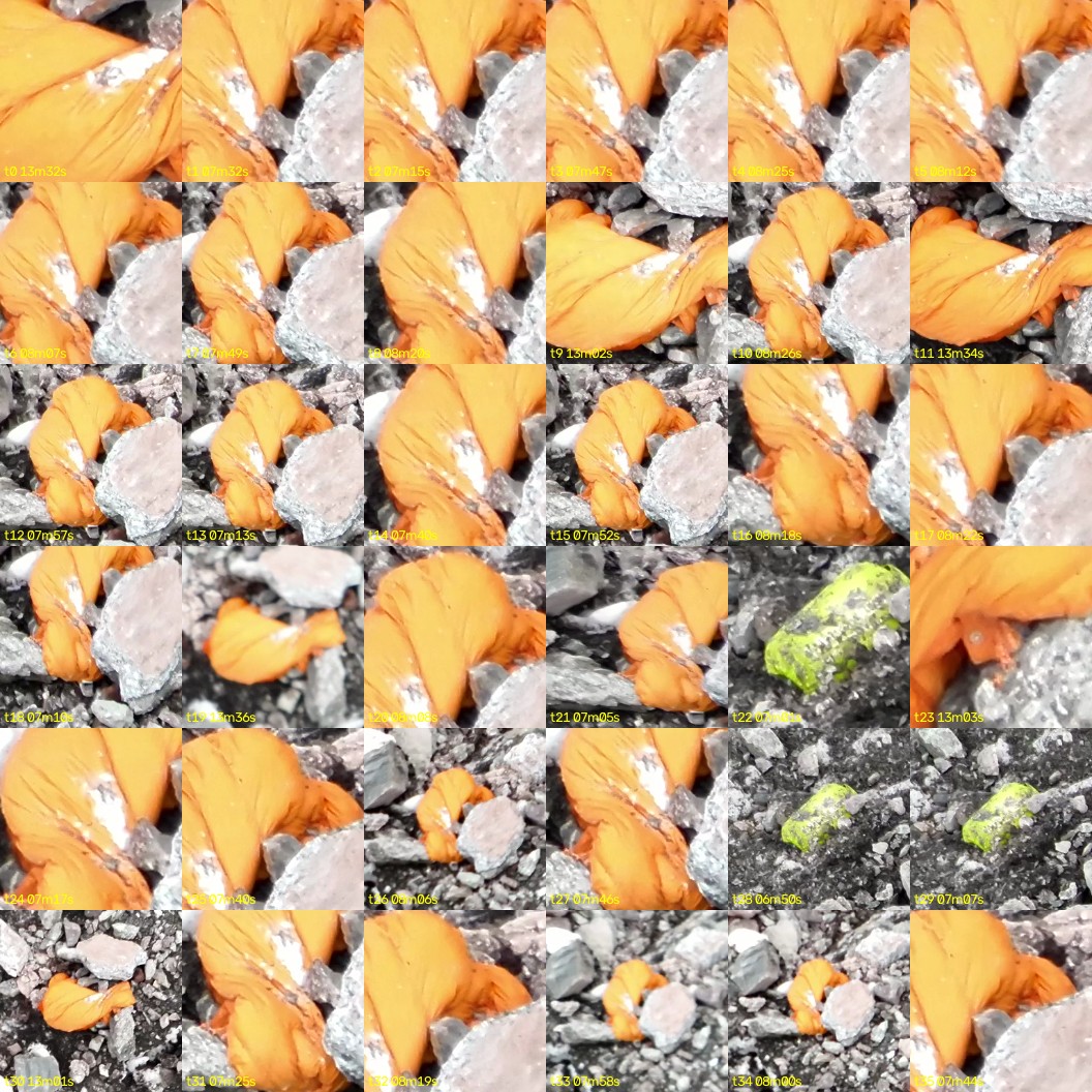 montage_00.jpg