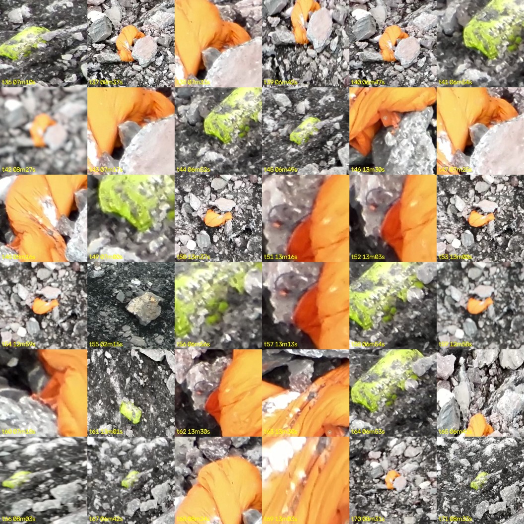 montage_01.jpg