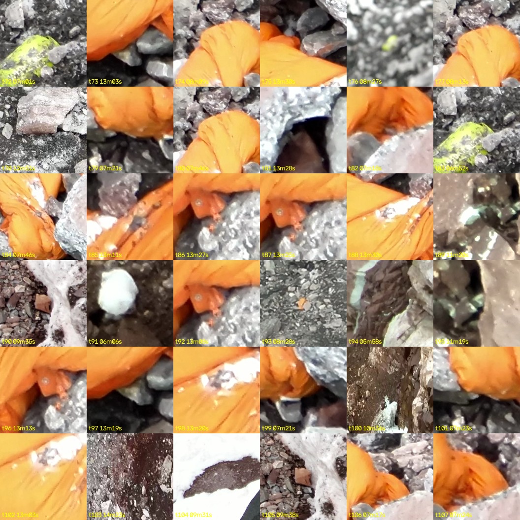 montage_02.jpg