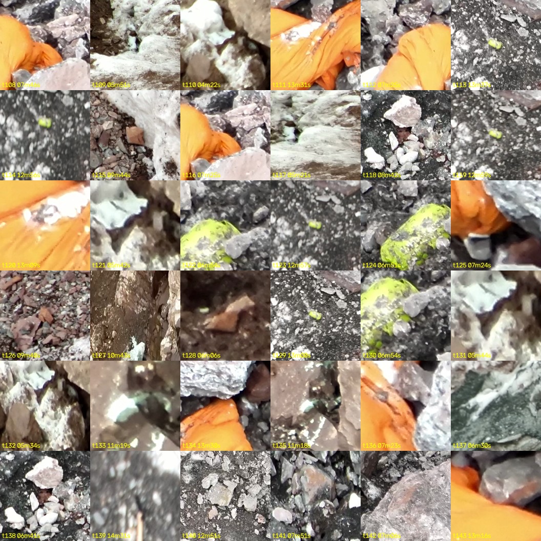 montage_03.jpg