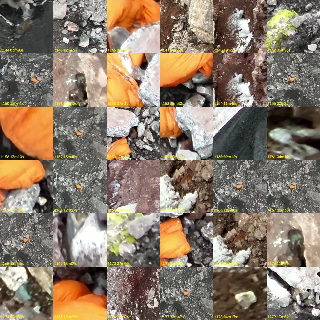 montage_04.jpg