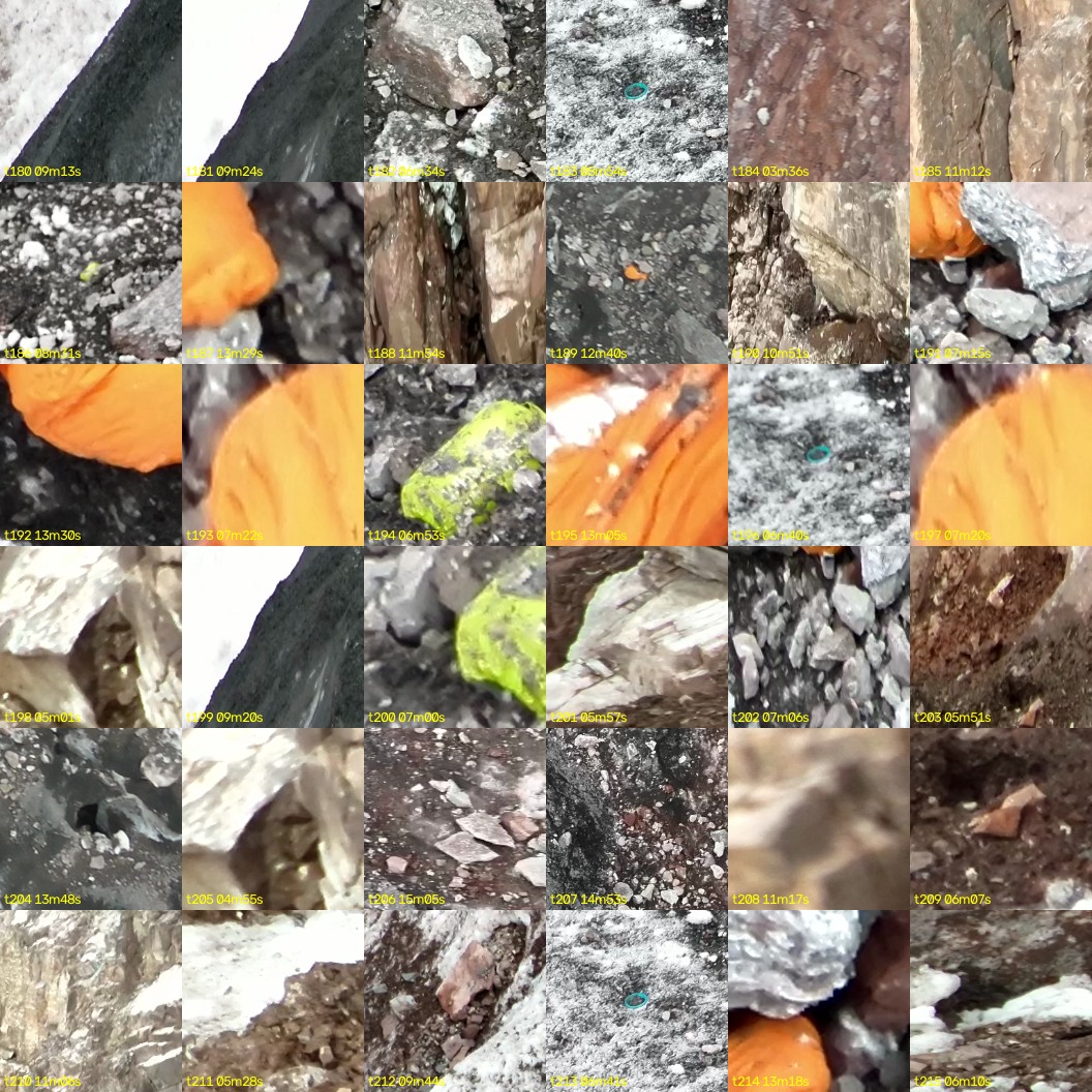 montage_05.jpg