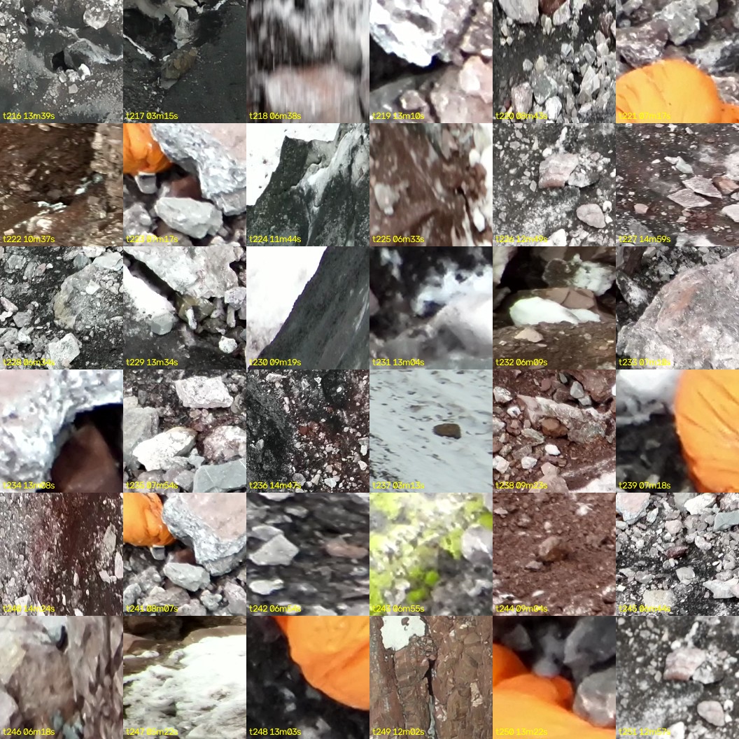 montage_06.jpg