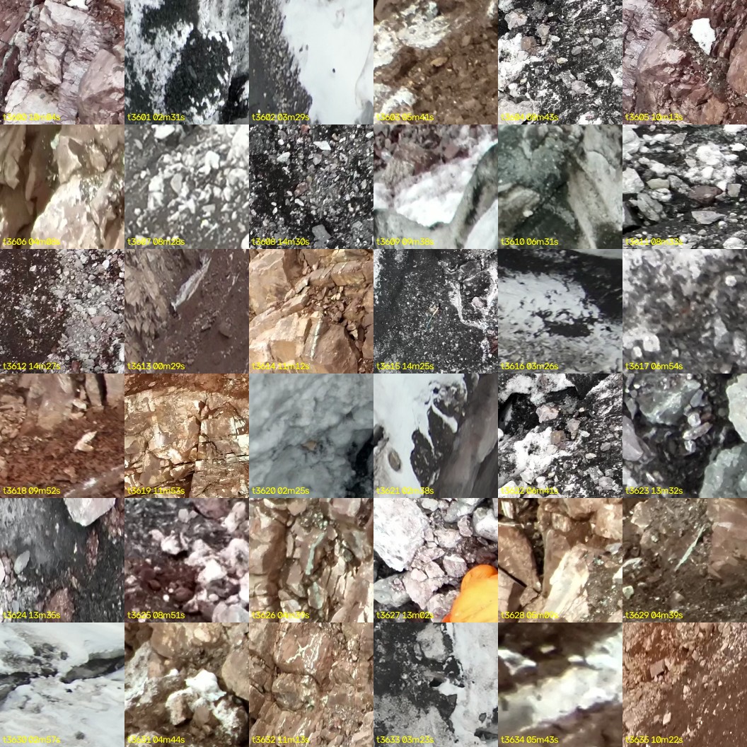 montage_100.jpg