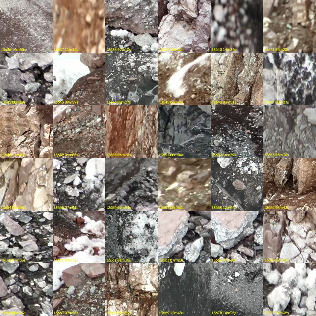 montage_101.jpg