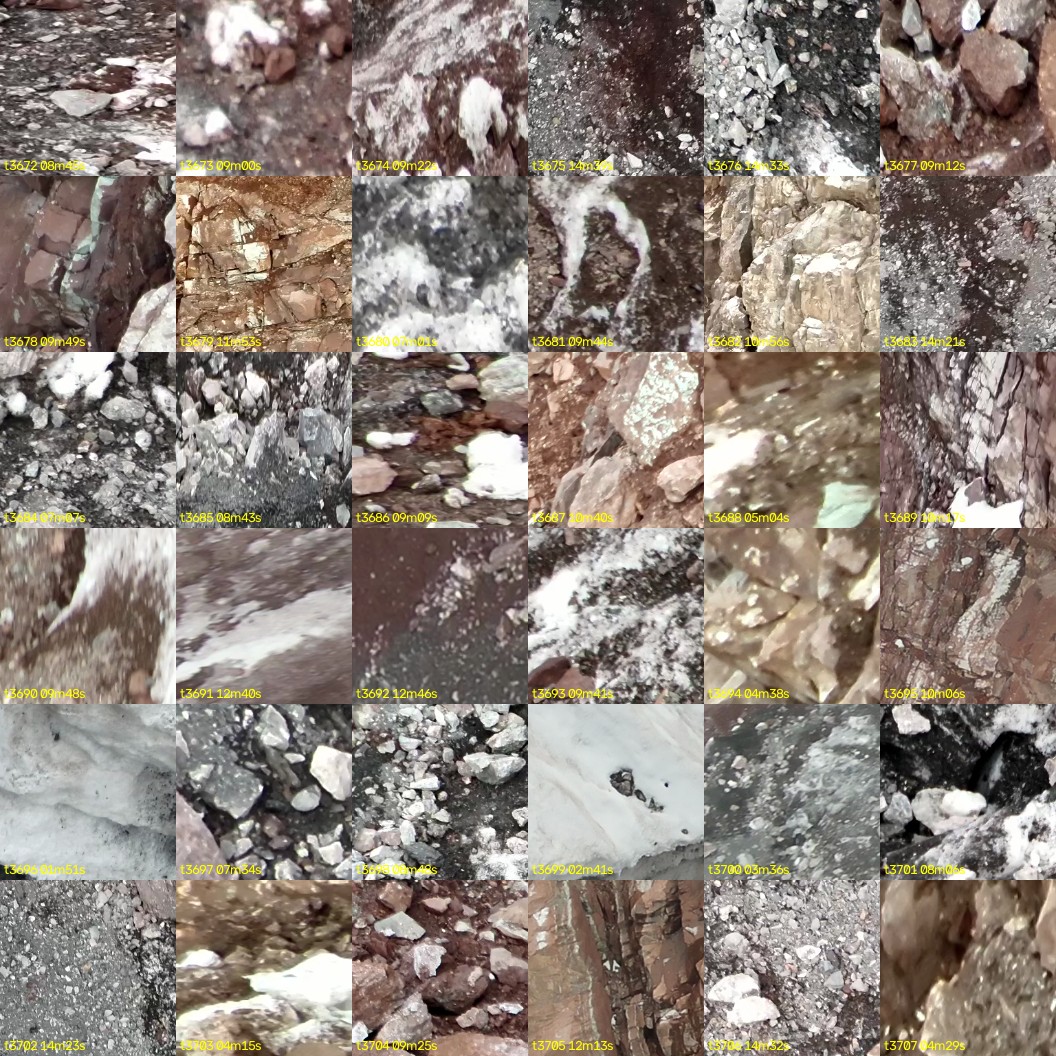 montage_102.jpg