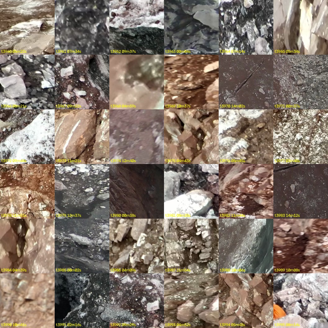 montage_110.jpg