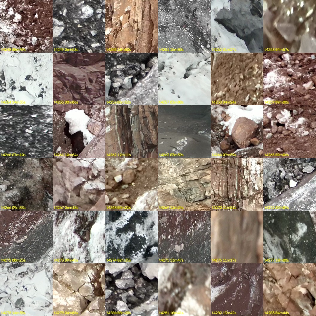 montage_118.jpg