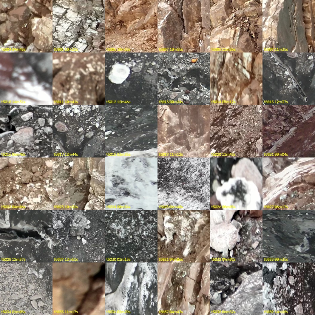 montage_139.jpg