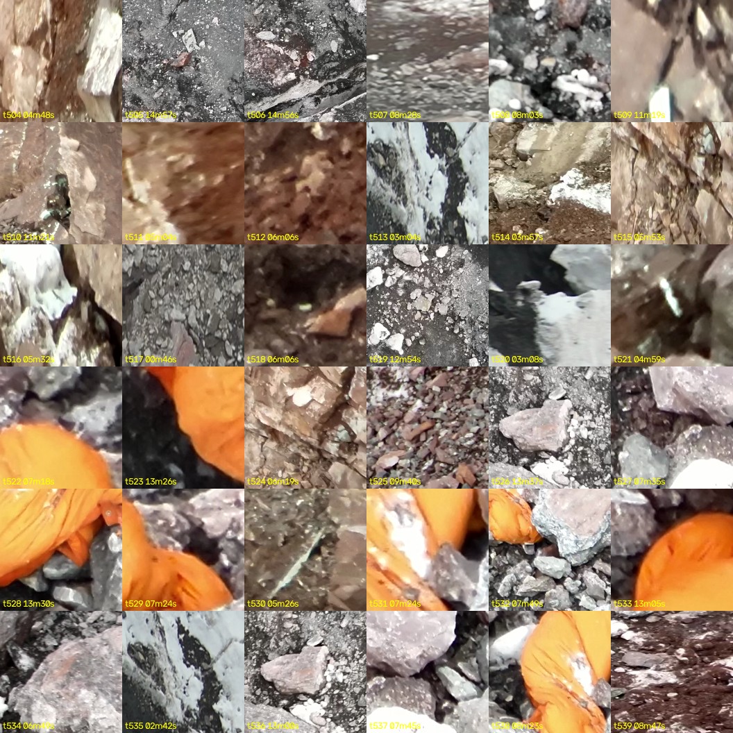 montage_14.jpg