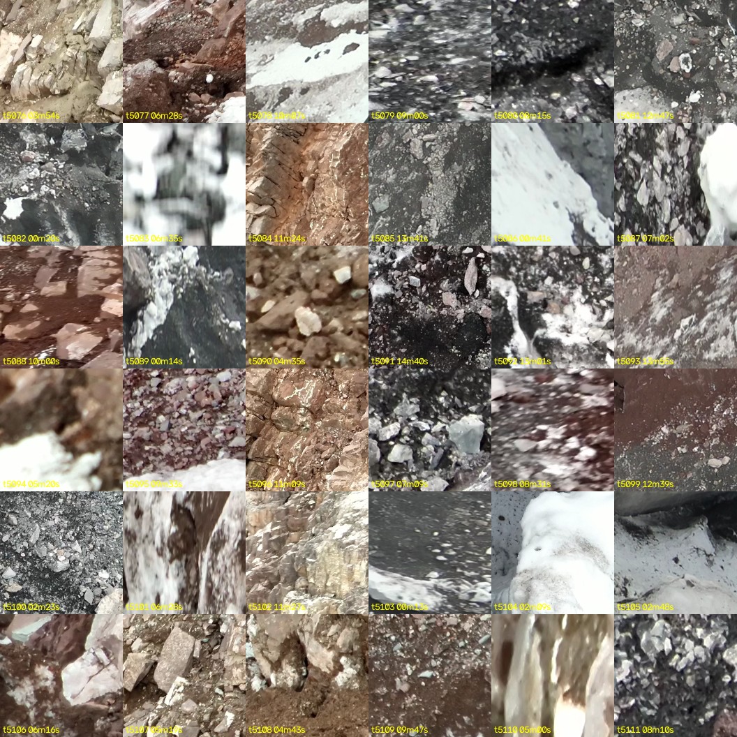 montage_141.jpg