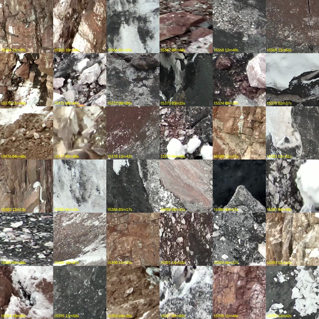 montage_149.jpg