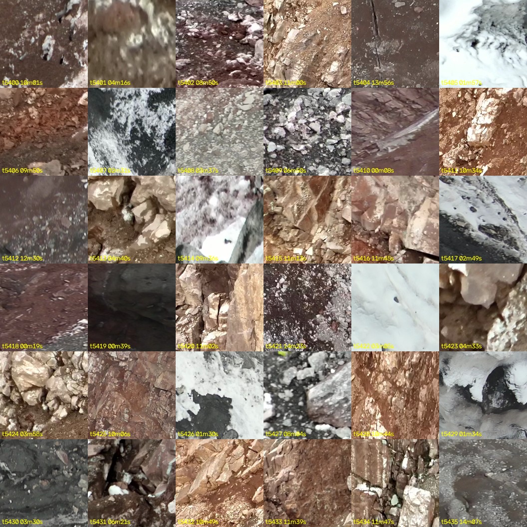 montage_150.jpg