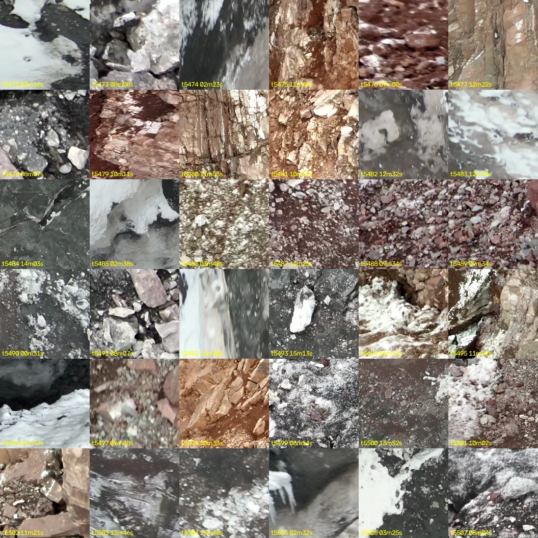 montage_152.jpg