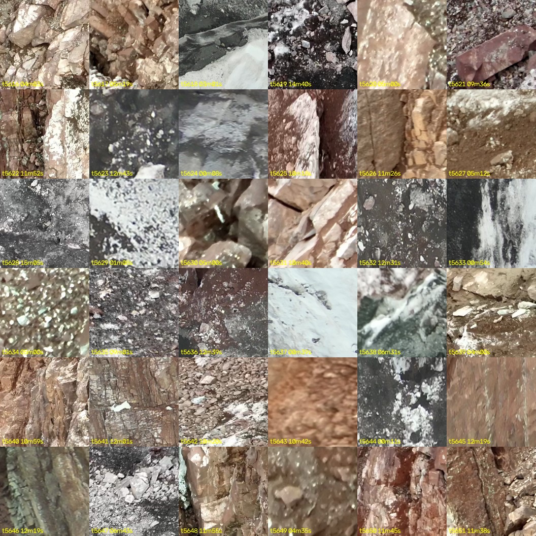 montage_156.jpg