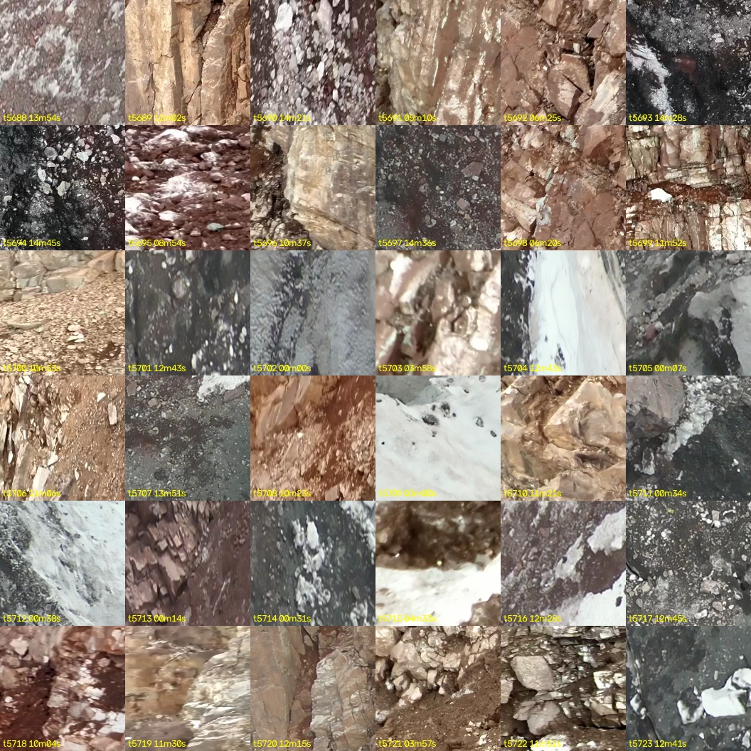 montage_158.jpg