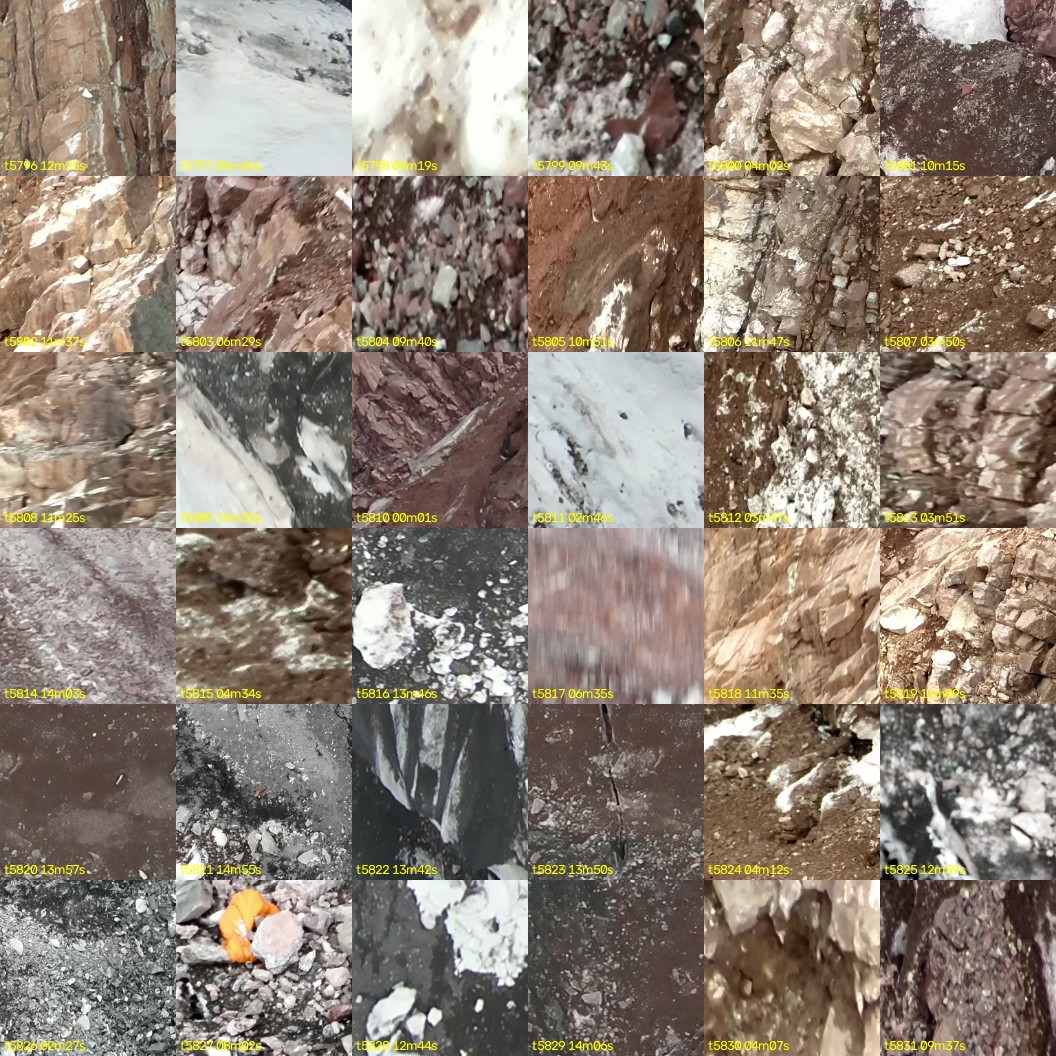 montage_161.jpg