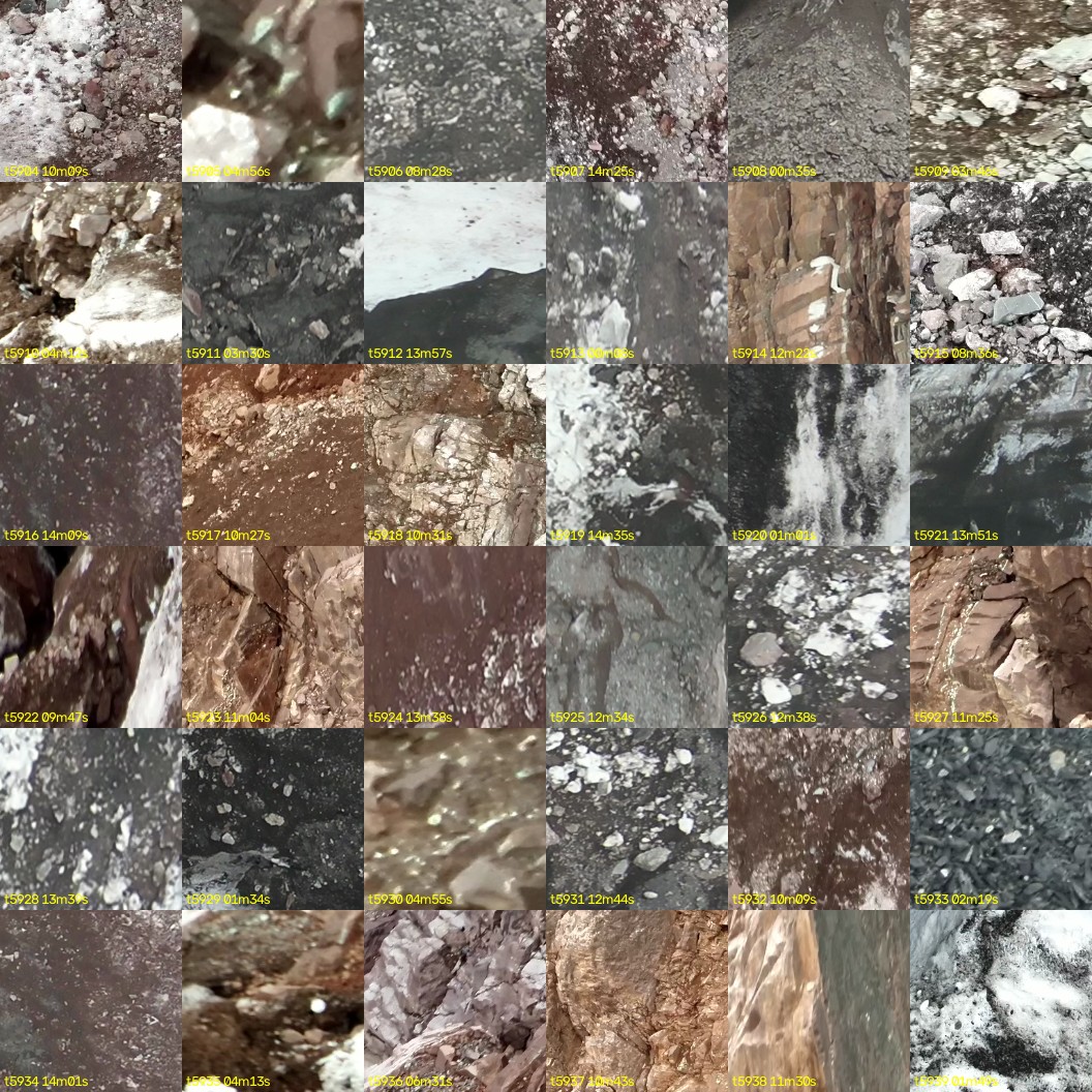 montage_164.jpg