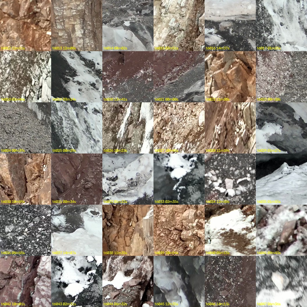 montage_167.jpg