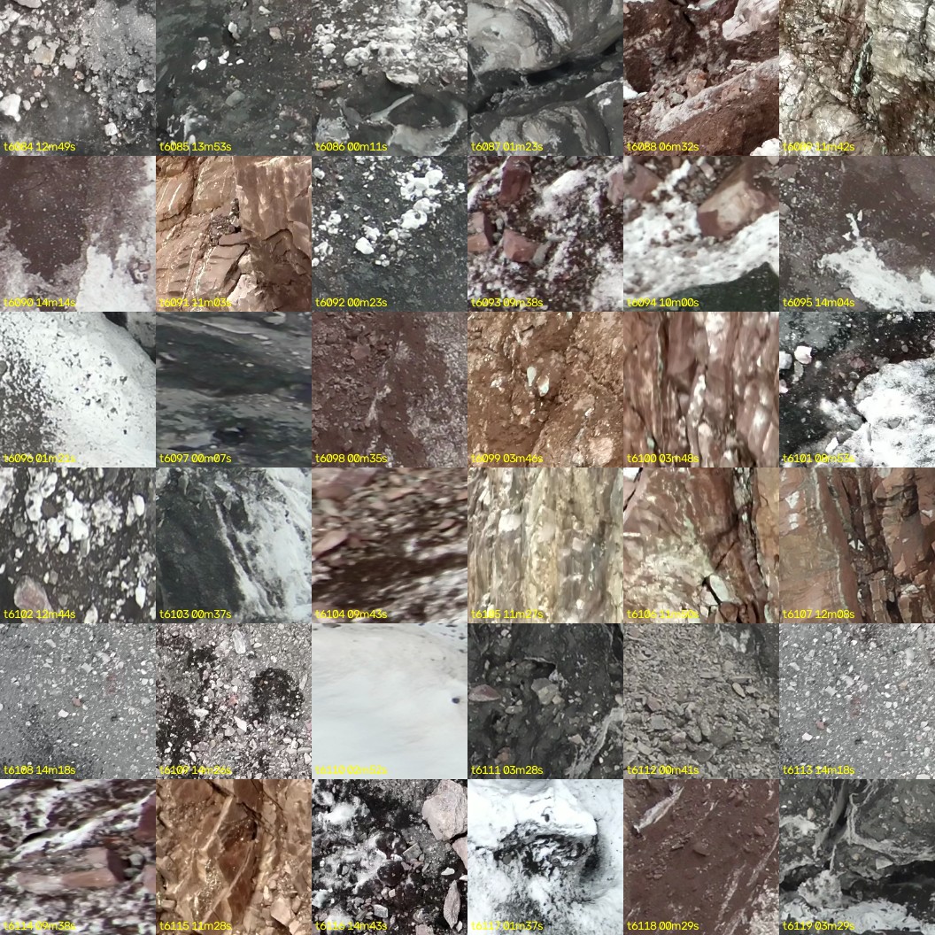 montage_169.jpg