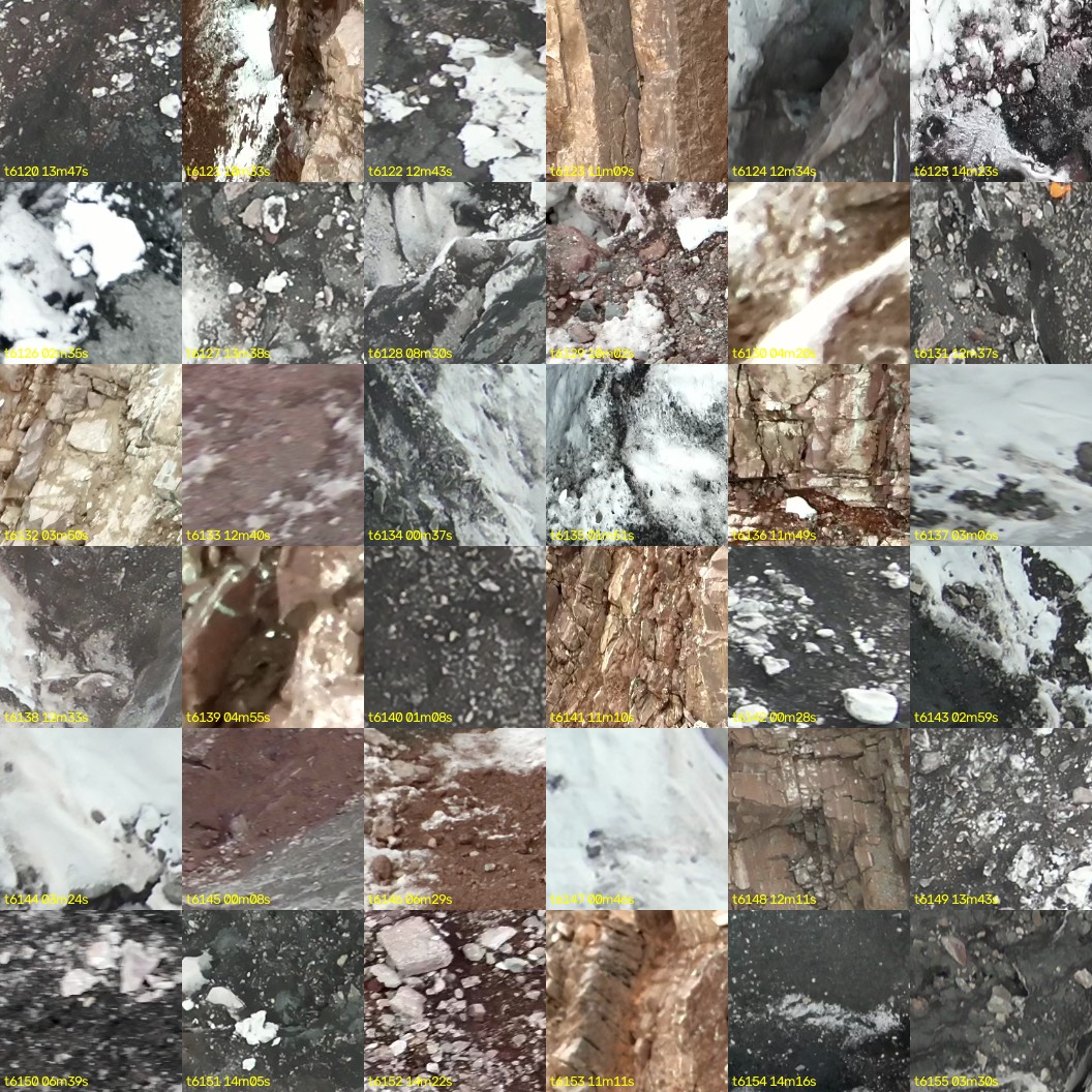montage_170.jpg