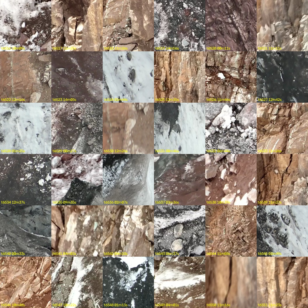 montage_181.jpg