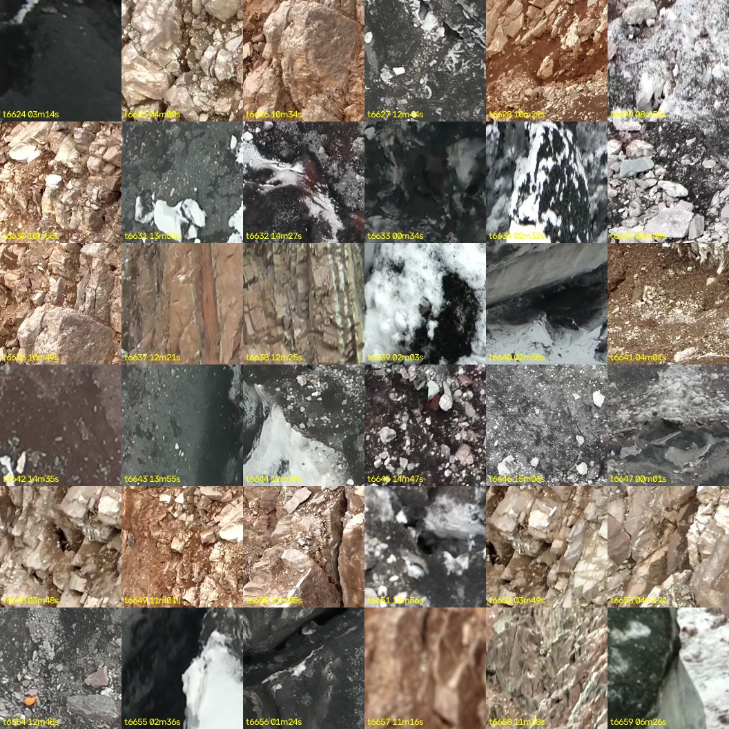 montage_184.jpg