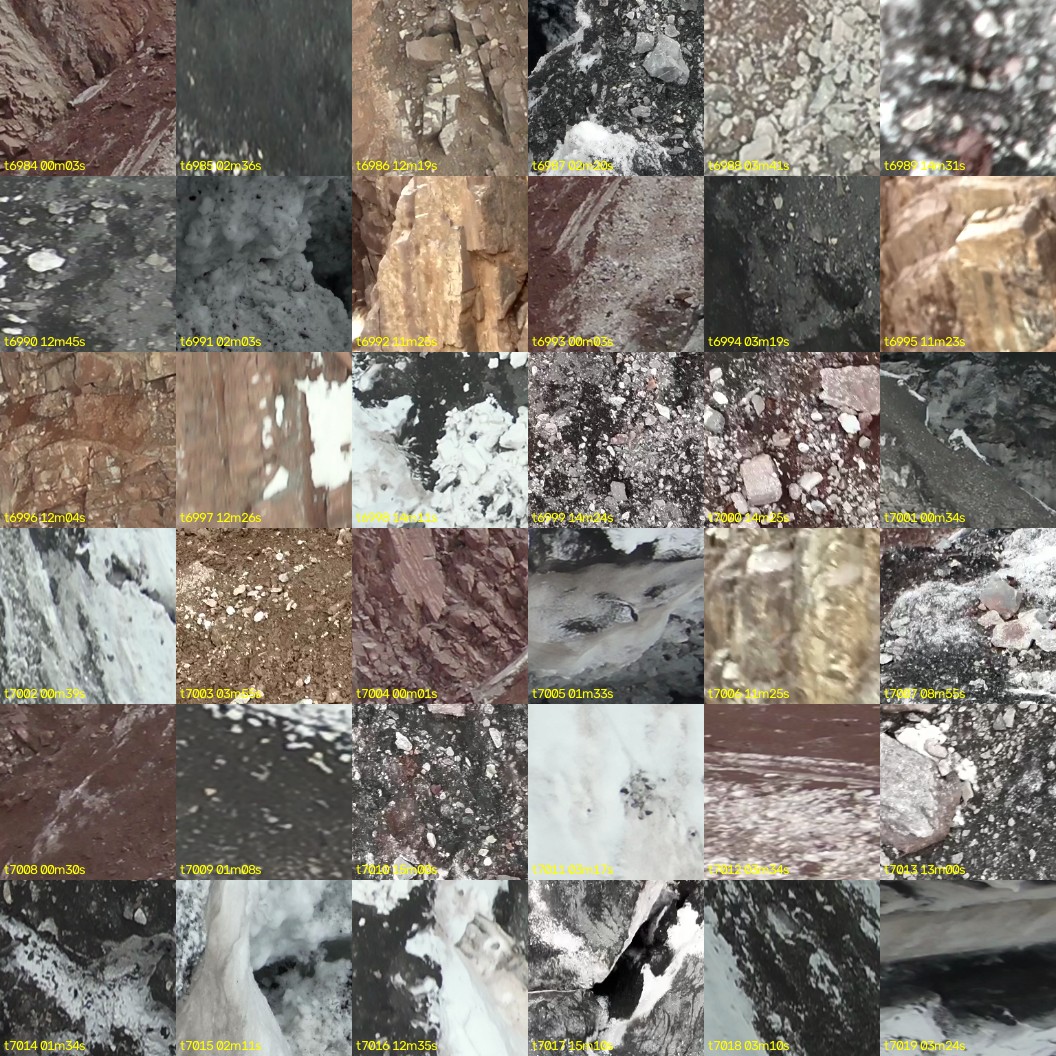 montage_194.jpg