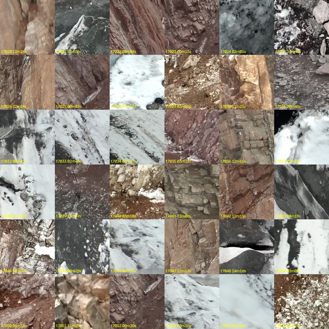 montage_195.jpg