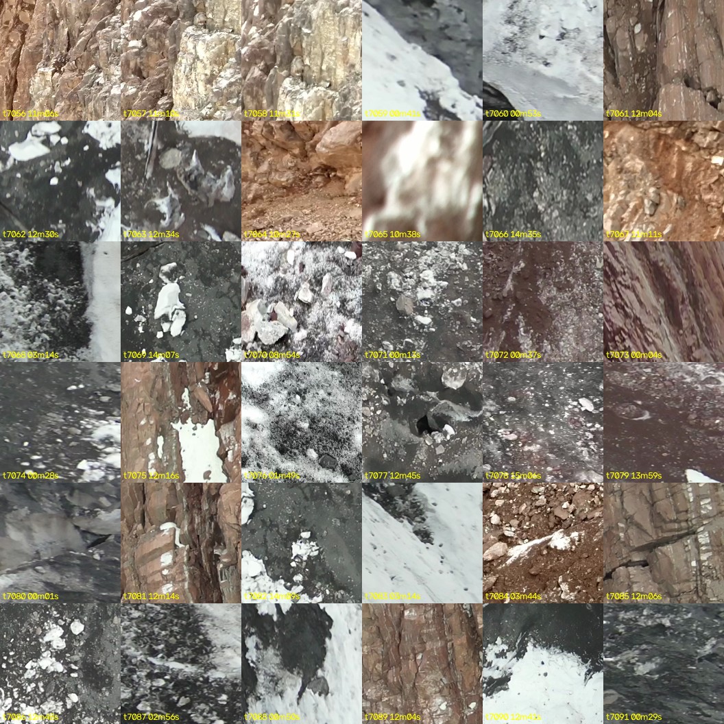 montage_196.jpg