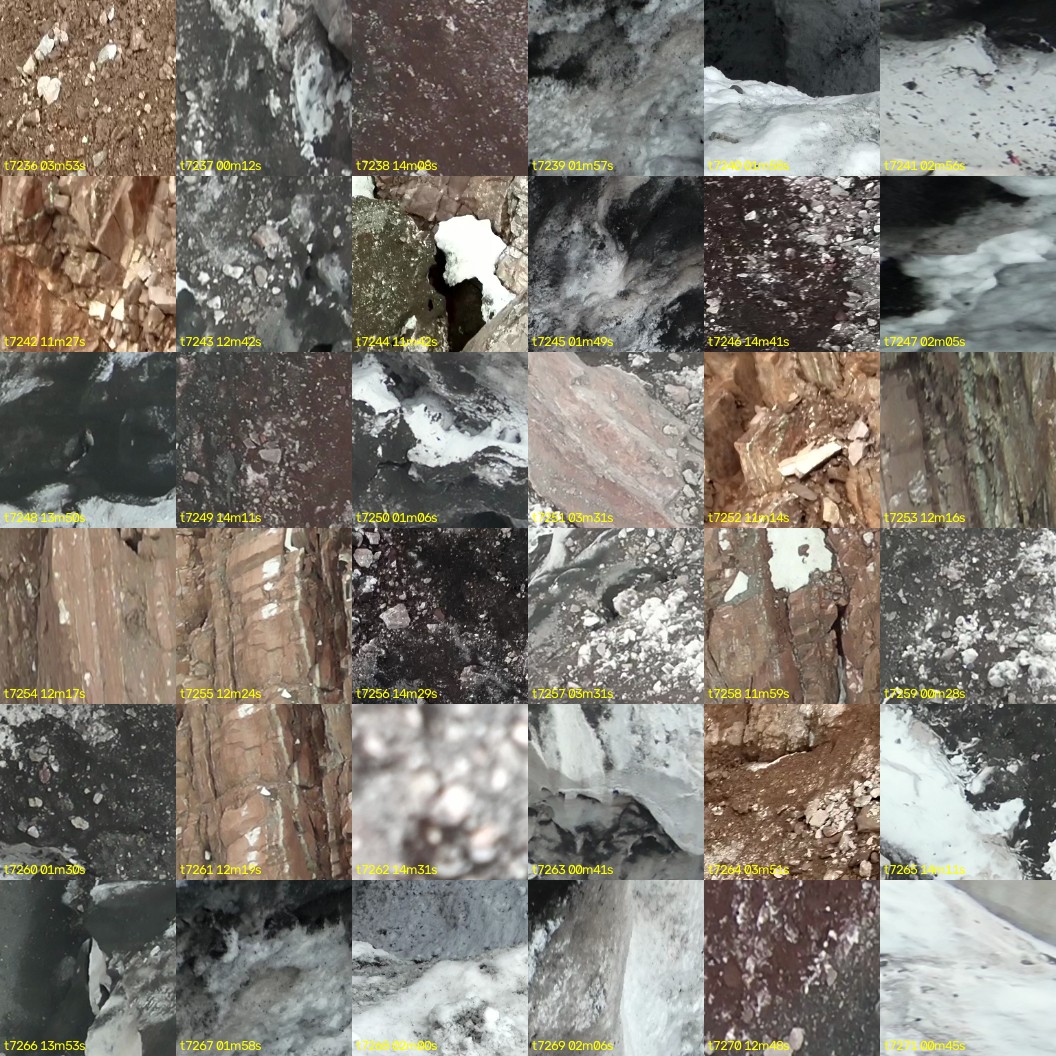 montage_201.jpg