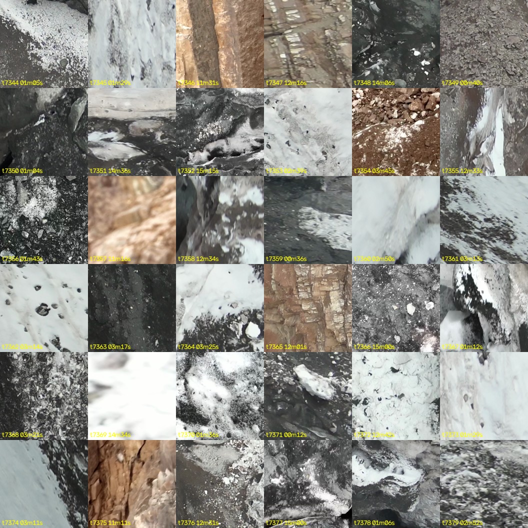 montage_204.jpg