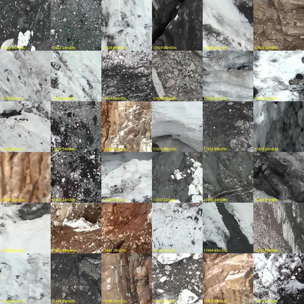 montage_206.jpg
