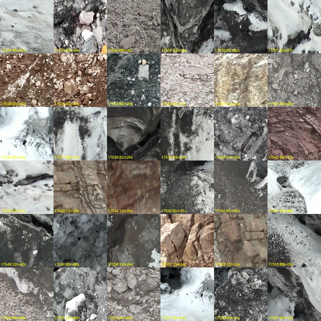 montage_209.jpg
