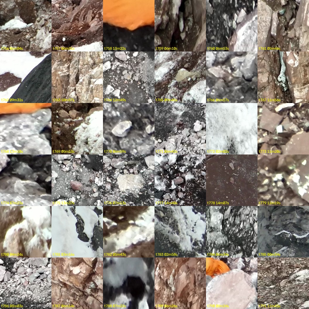 montage_21.jpg