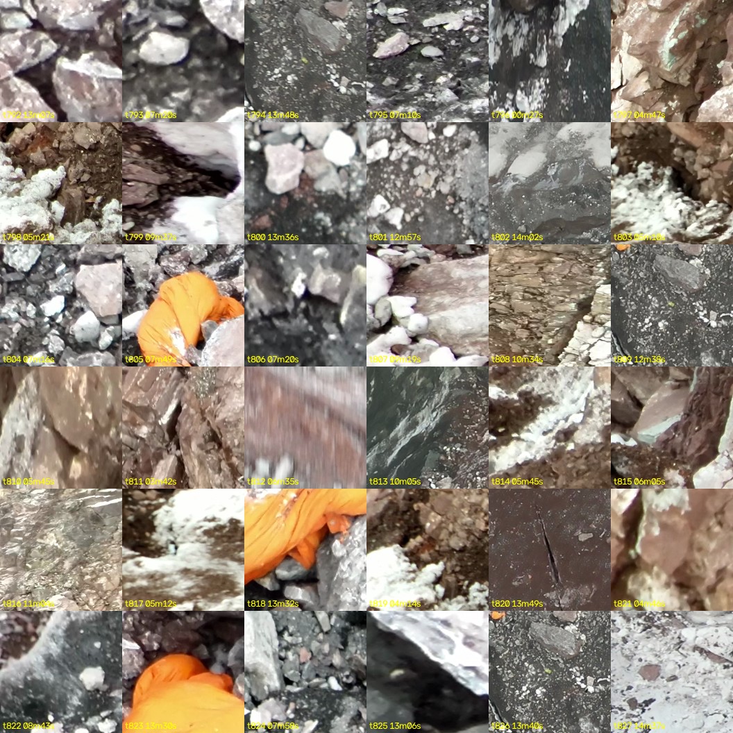 montage_22.jpg