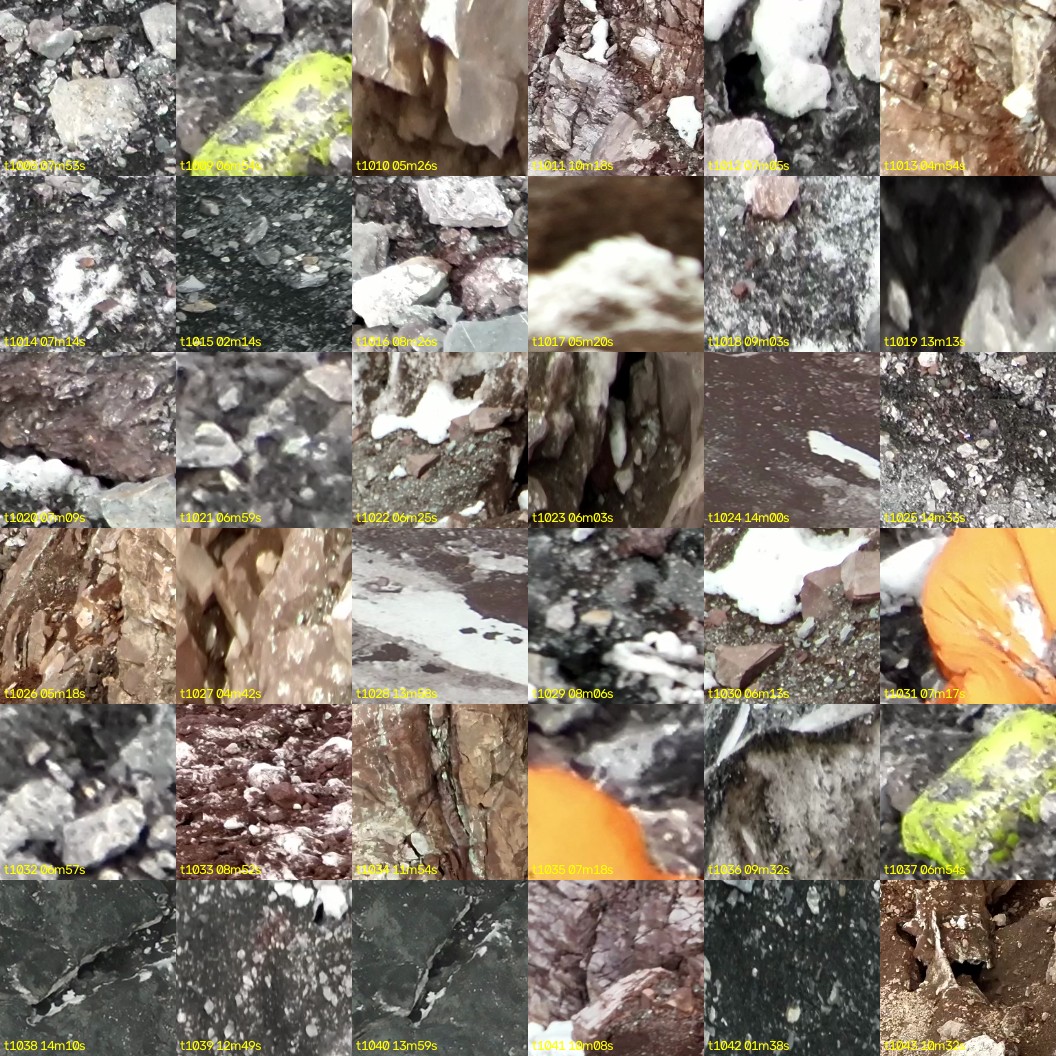 montage_28.jpg