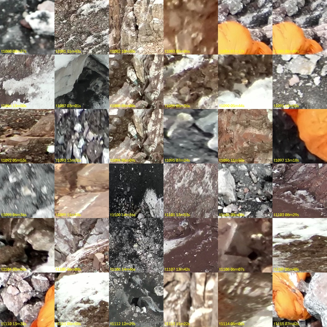 montage_30.jpg