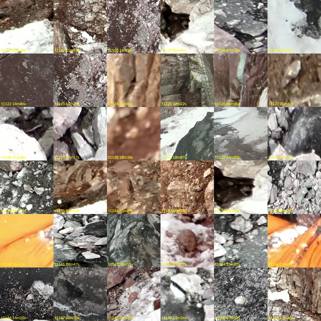 montage_31.jpg