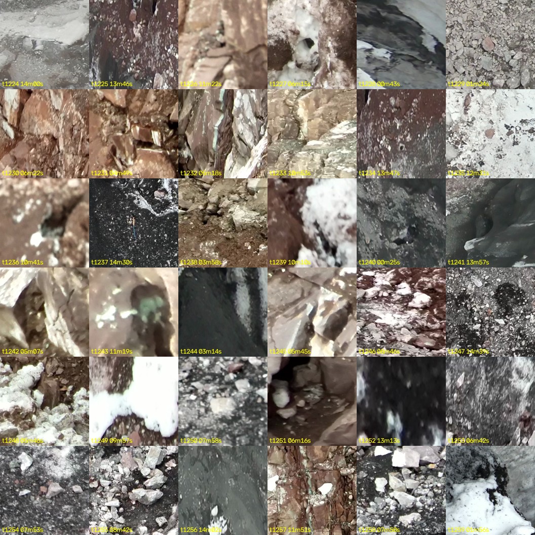 montage_34.jpg