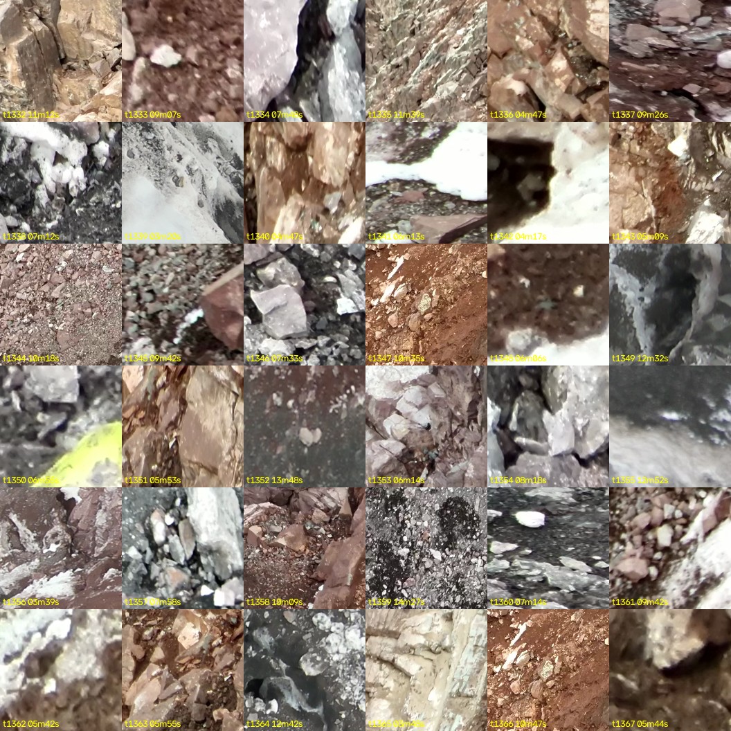 montage_37.jpg