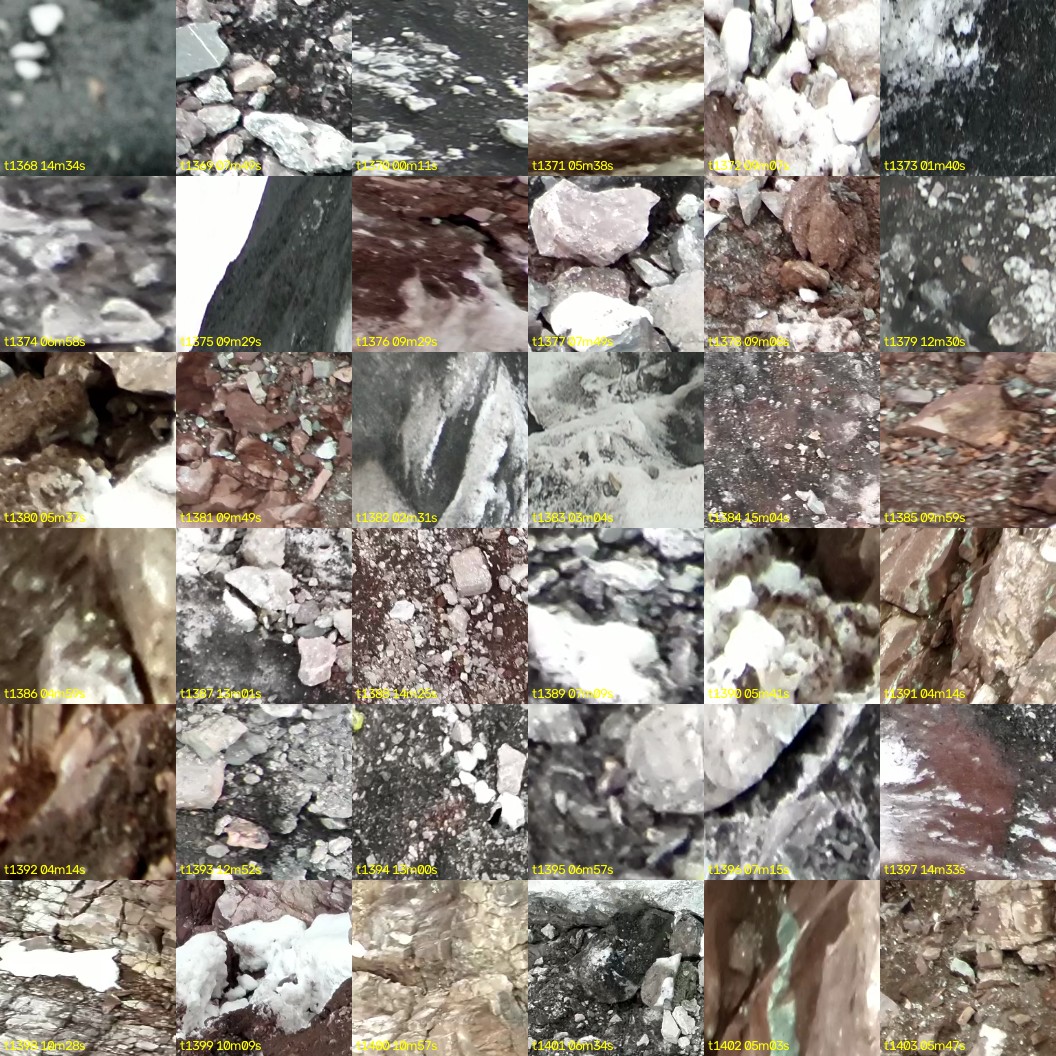 montage_38.jpg