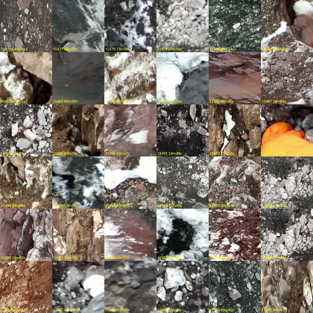 montage_41.jpg