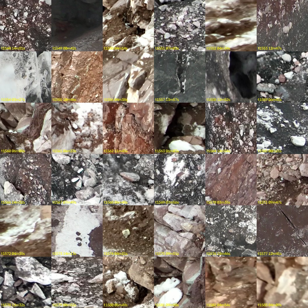 montage_43.jpg