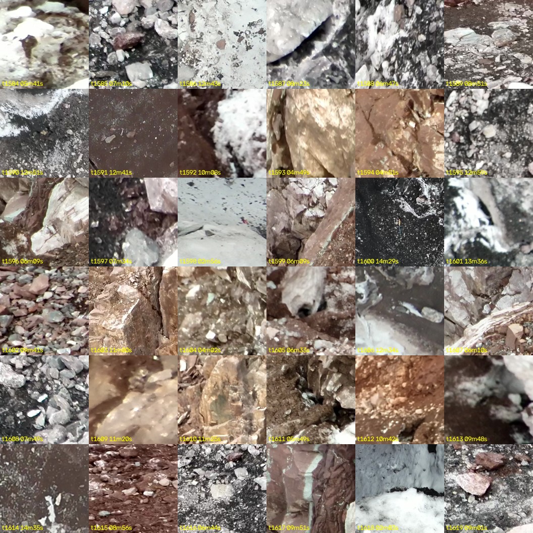 montage_44.jpg