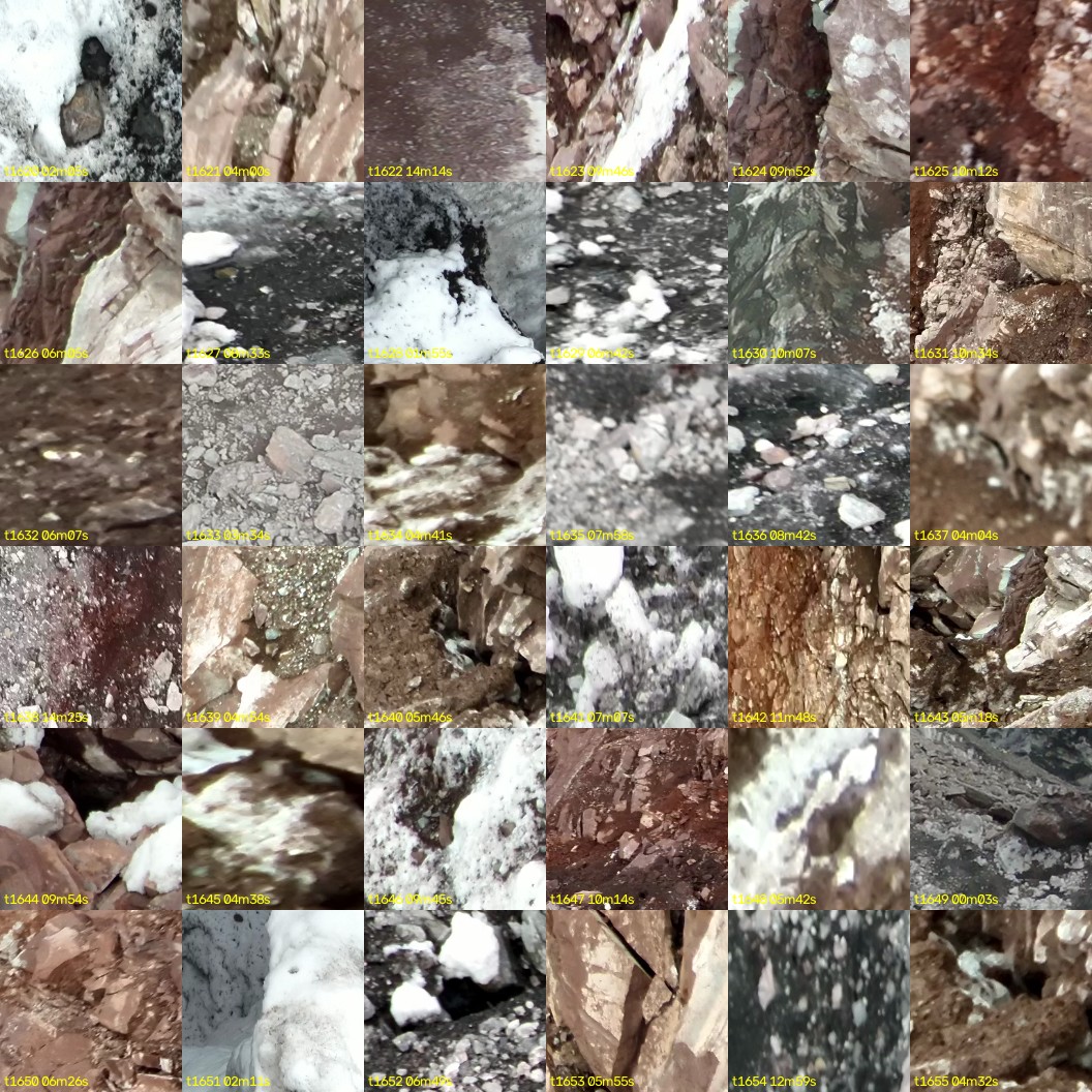 montage_45.jpg