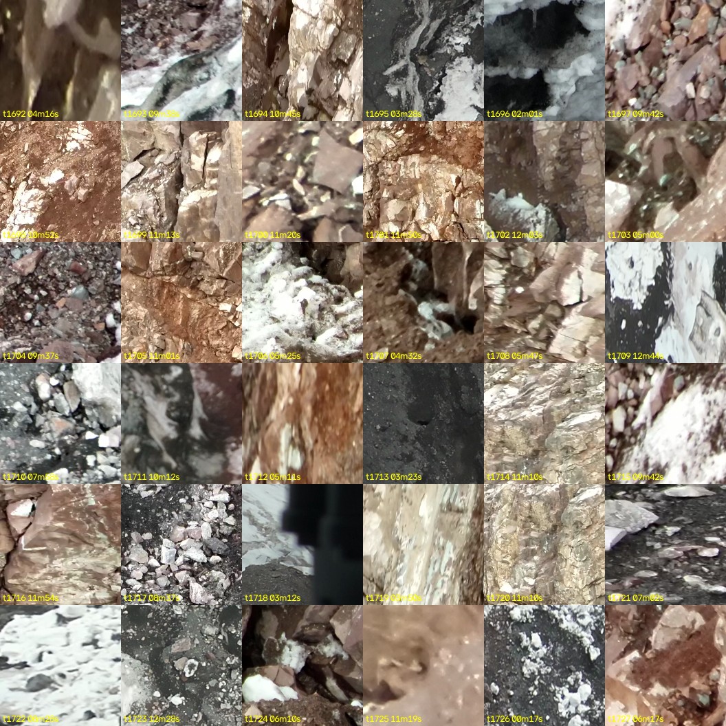 montage_47.jpg