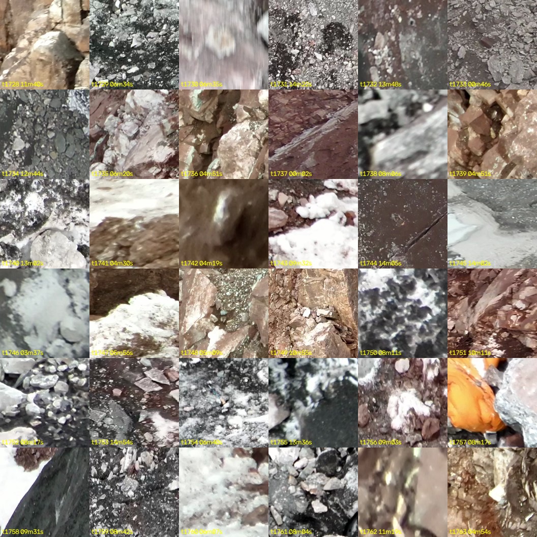 montage_48.jpg